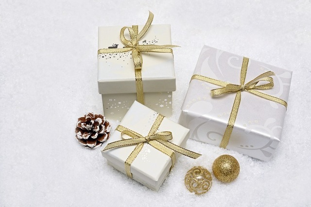 christmas-gift-3019973_960_720.jpg